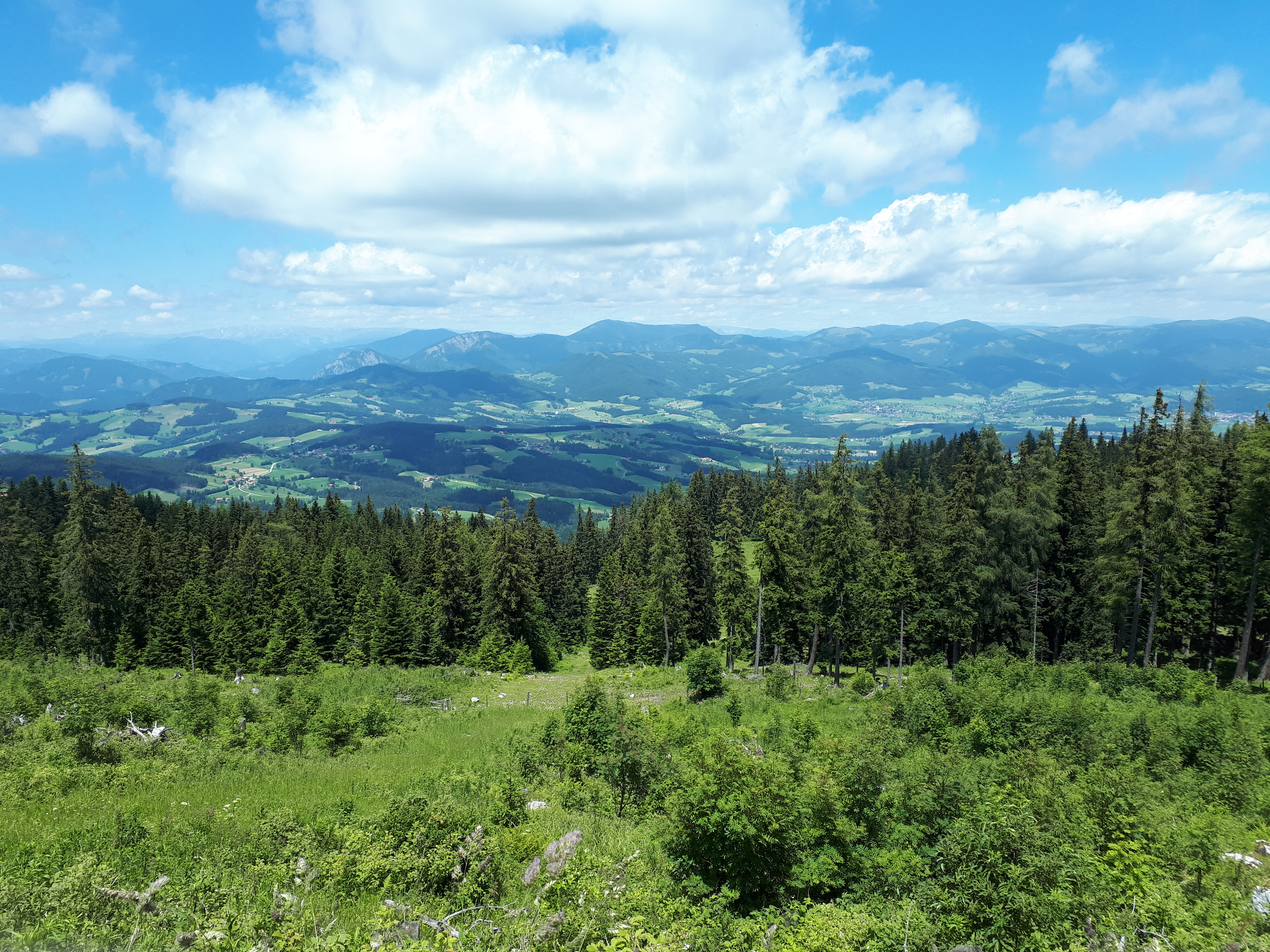 Blick vom Schöckl