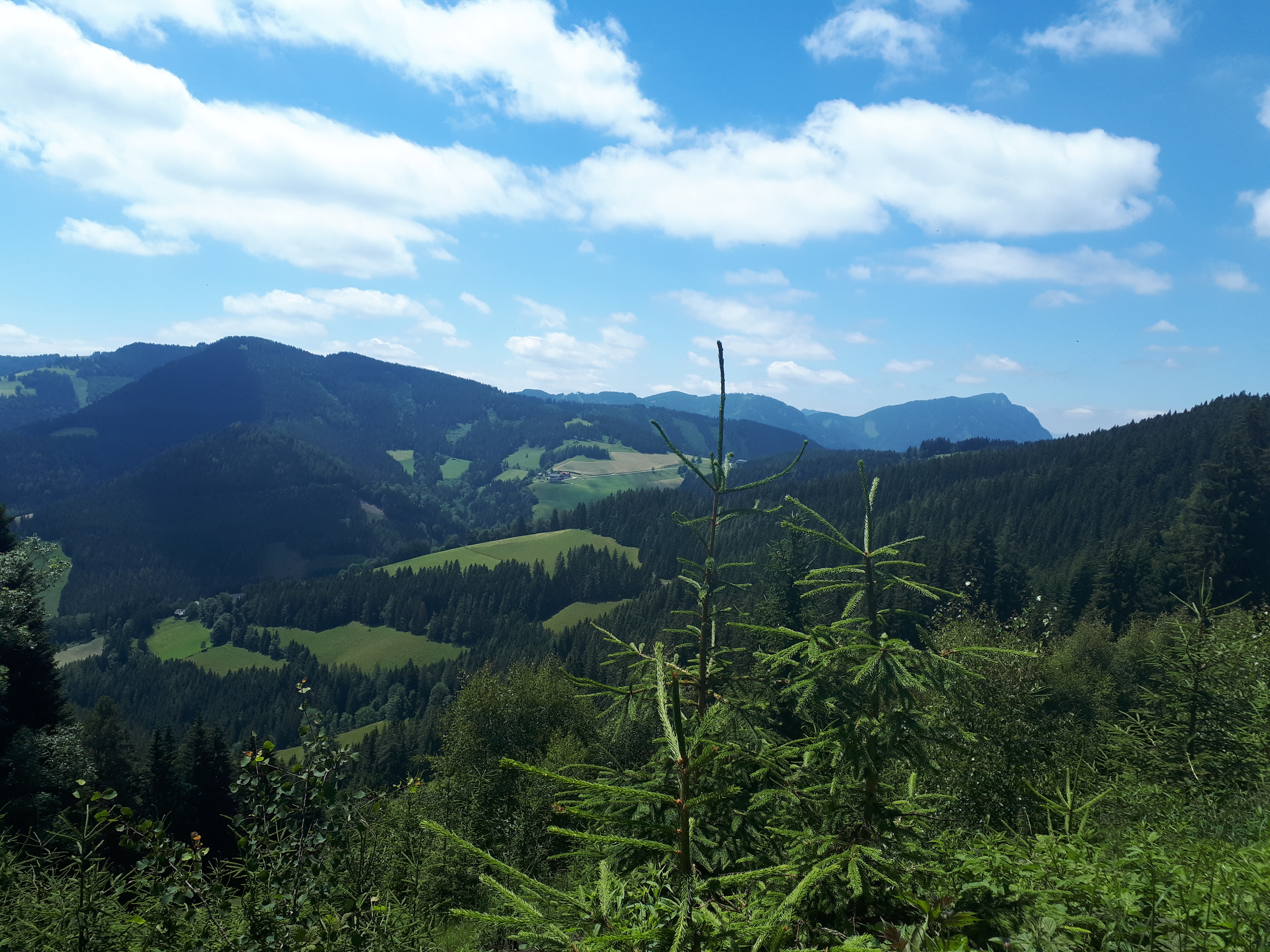 Blick von der Sommeralm