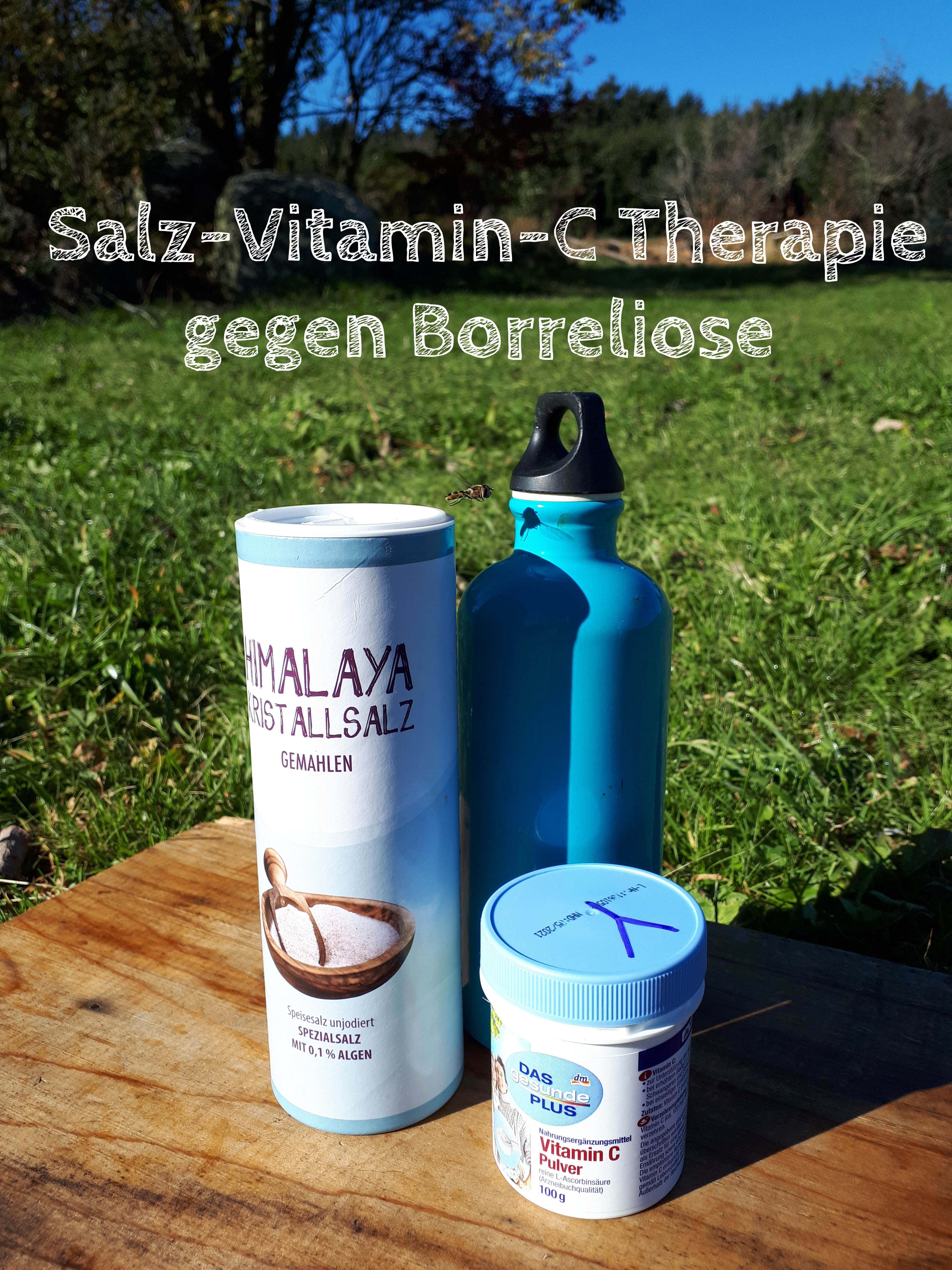 Salz-Vitamin-C Therapie gegen Borreliose