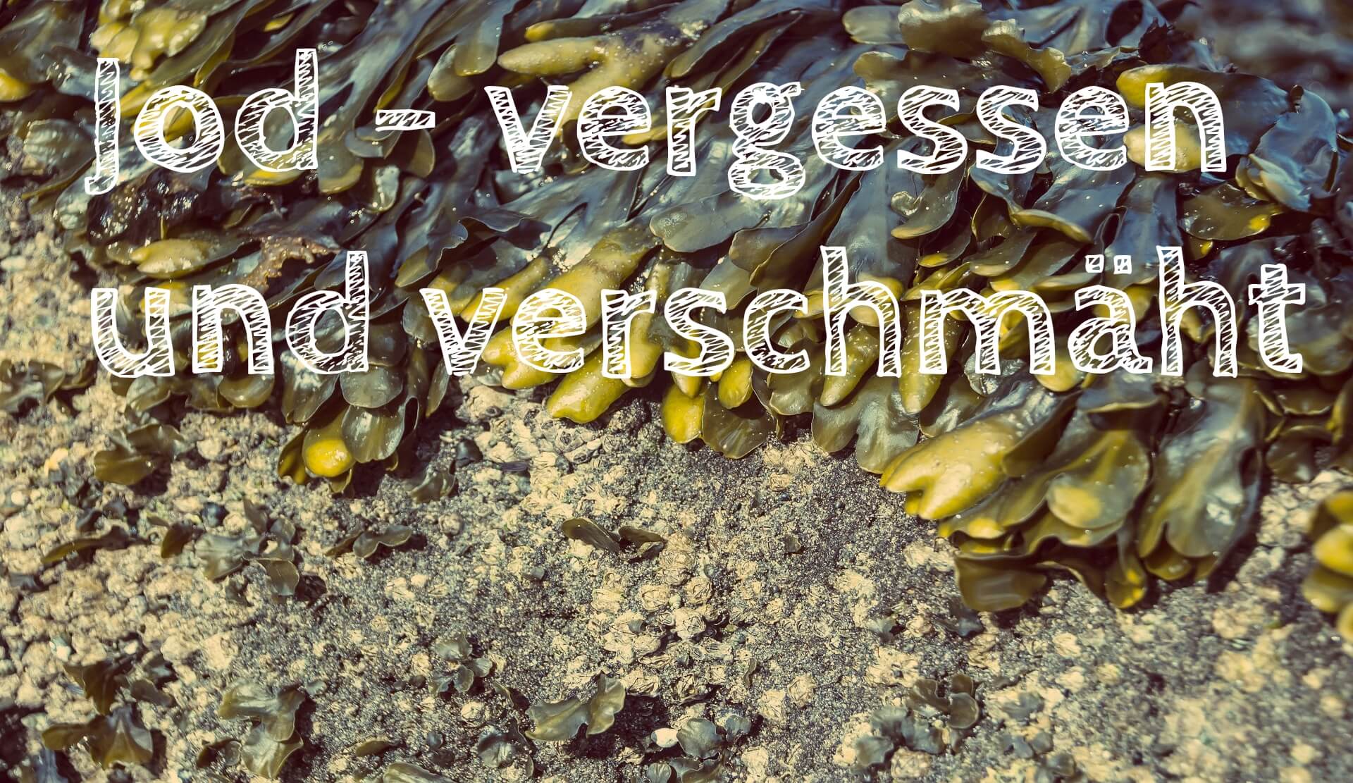 Jod – vergessen und verschmäht