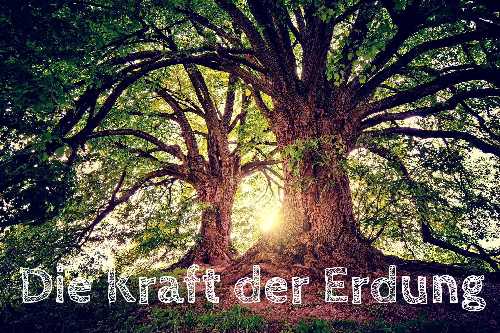 Die Kraft der Erdung