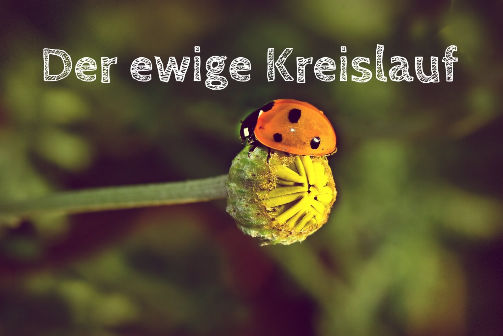 Der ewige Kreislauf