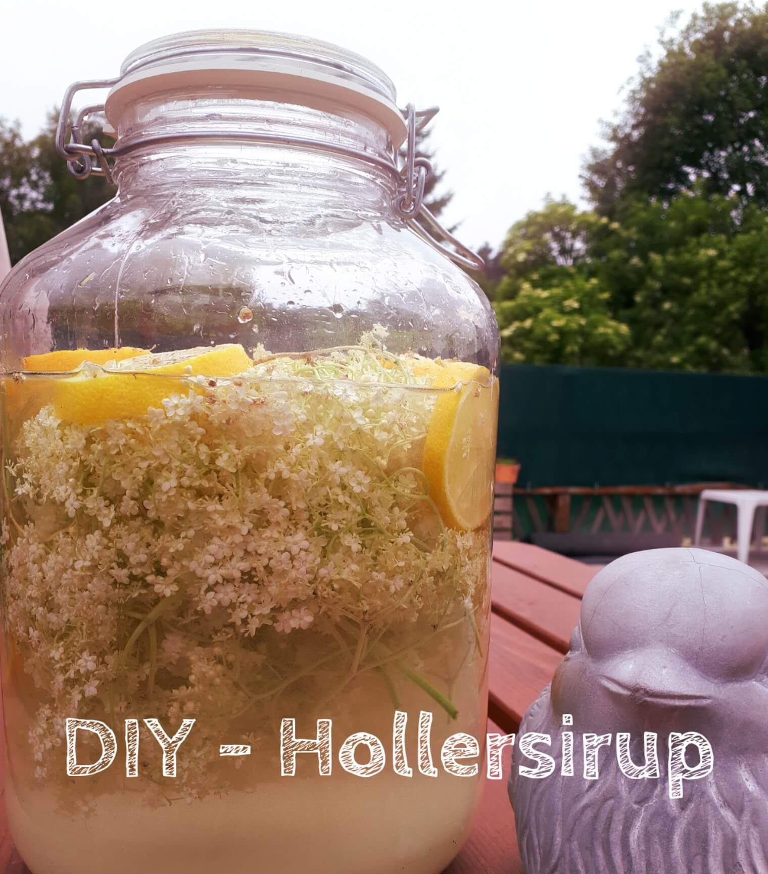 DIY – Hollersirup